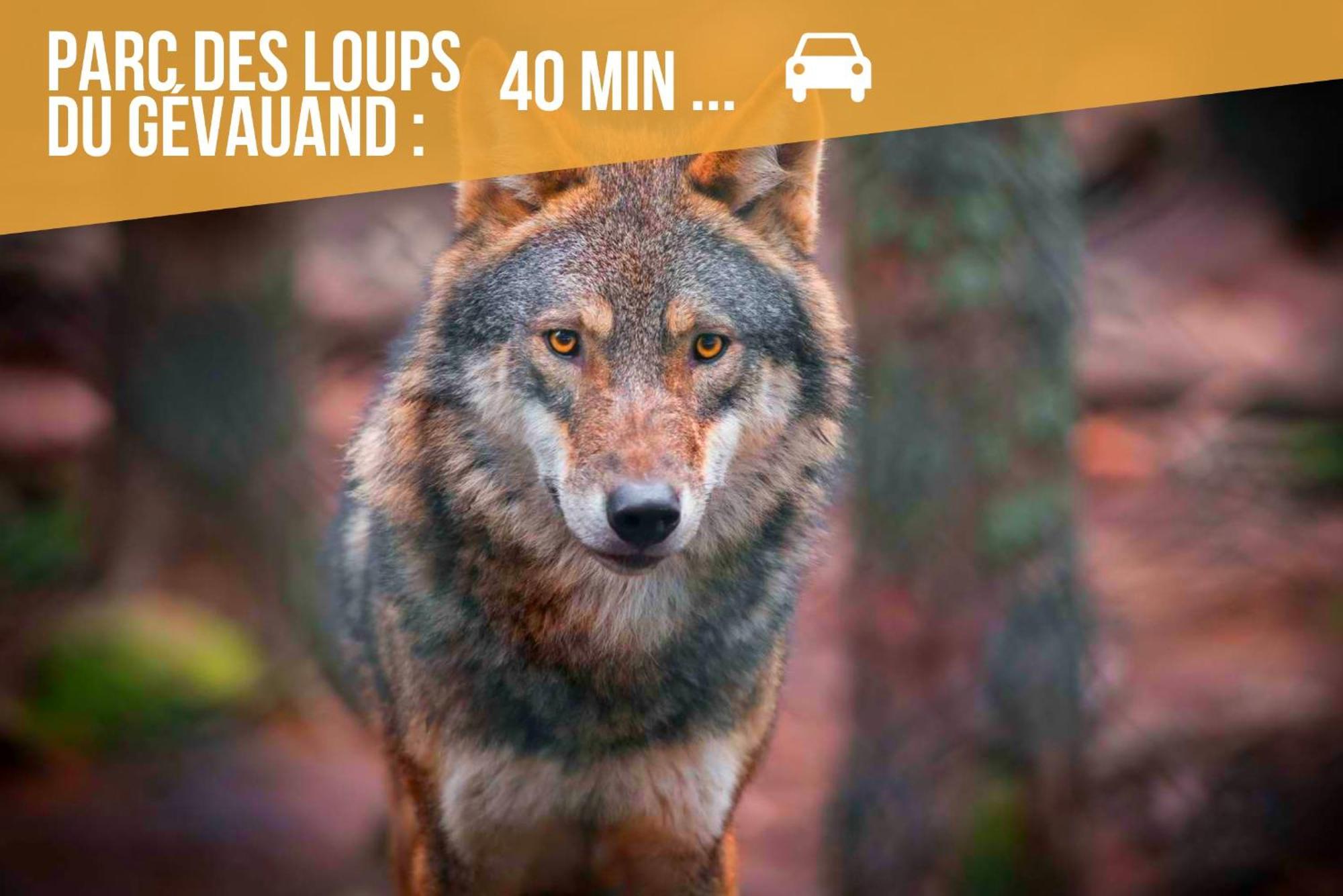 Le Goldenleaf - Netflix/wi-fi Fibre - Sejour Lozere Mende